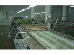 转让二手豆制品厂设备果蔬清洗生产线
