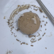 厂里每天有2吨氧化锌处理