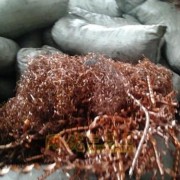 两百斤紫铜屑加急处理