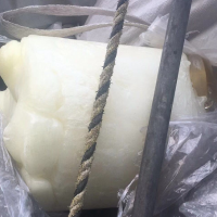 8吨的tpu处理
