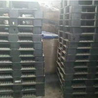 大量塑料托盘处理