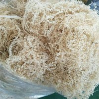 江苏连云港ETFE薄膜回收连云港F46水口料回收多少钱