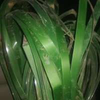 废旧塑料处理
