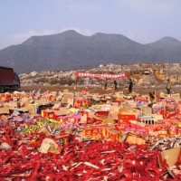 绍兴过期食品回收处理_过期到期食品回收处置公司
