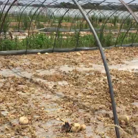 8吨钢管处理