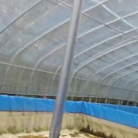 塑料大棚处理
