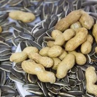 一吨超市过期瓜子花生处理