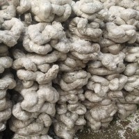20吨压缩的泡沫块处理