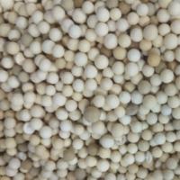 大量活性氧化剂处理