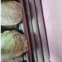 1吨多铜排处理