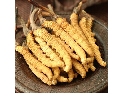 杭州回收虫草商家拱墅大量回收冬虫夏草公司