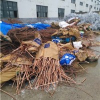 沈阳废旧电缆回收 各种电缆拆除回收 诚信回收服务