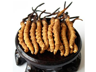 浙江宁波虫草回收价格咨询商家-宁波回收虫草