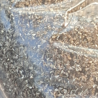 10几吨废铜屑处理（铅铜和纯铜）