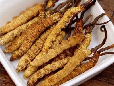 台州虫草回收商家温岭市回收冬虫夏草商家在哪