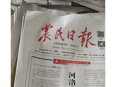 一吨多旧报纸处理