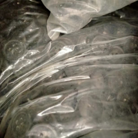 一吨多纽扣处理