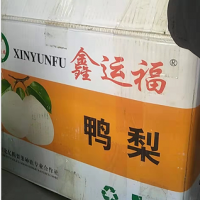 500多个大纸箱处理（几吨）