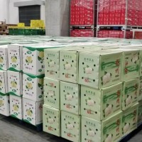 多多买菜仓库每天大几百斤废纸箱处理
