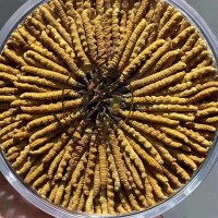 目前冬虫夏草回收价格查询值多少钱卖多少钱一克一览一览表