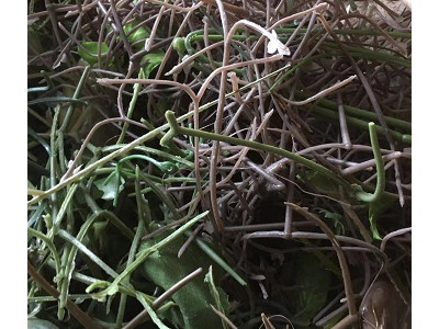 几吨PE水口料处理