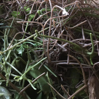 几吨PE水口料处理