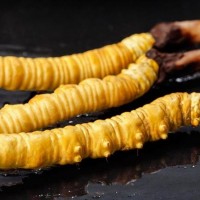 胶州回收冬虫夏草价格表