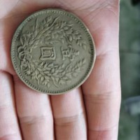 袁大头处理