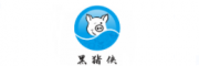 黑猪侠