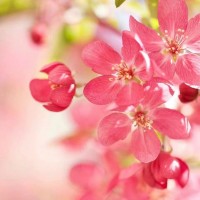 所有品牌冬虫夏草价格表——冬虫夏草回收价格值多少钱当面回收