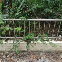 几吨不锈钢栏杆处理