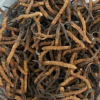 冬虫夏草回收正规公司——上门收购虫草价格一览表分享一下