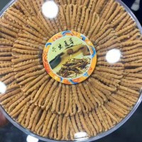 冬虫夏草回收/收购价格一览表参考单价查询一克多少钱?