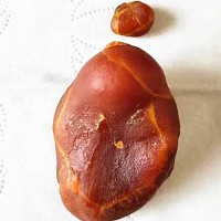 贵阳市鸡宝上门现金收购-南明区鸡宝免费鉴定评估