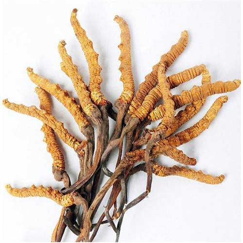 上虞区当下东方红冬虫夏草回收十年老店地址每天邀约_废品站