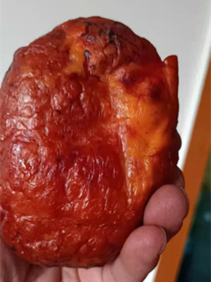 武汉鸡宝现金收购公司-2023年鸡宝行情分析_废品站