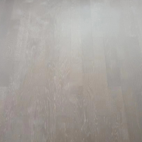 1000多平木地板处理
