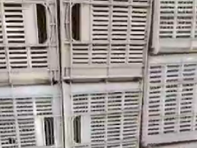 1000多个塑料筐处理