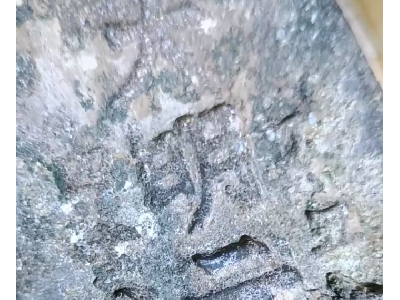 一个四十八两大明元保转让处理