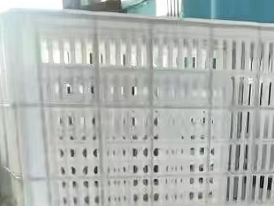 200多个塑料筐处理