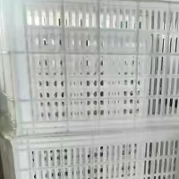 200多个塑料筐处理