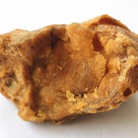 鸡宝直接现金收购-药材公司