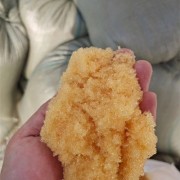 济宁回收数值多少钱一斤 树脂回收价格行情一览