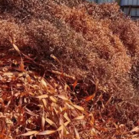 普陀铜屑回收一吨多少钱-上海废铜回收商家告诉你