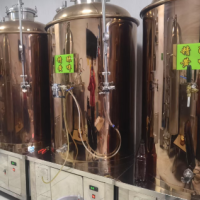 一托四精酿啤酒设备处理