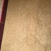 酒店600多平地毯、浴缸、十几个电机处理