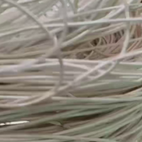 几十吨PVDF塑料处理