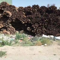 工地上处理700多吨钢管