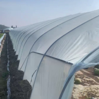 上千亩塑料大棚塑料膜处理