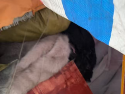 两吨多库存布料处理